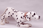 Play bowing dalmation